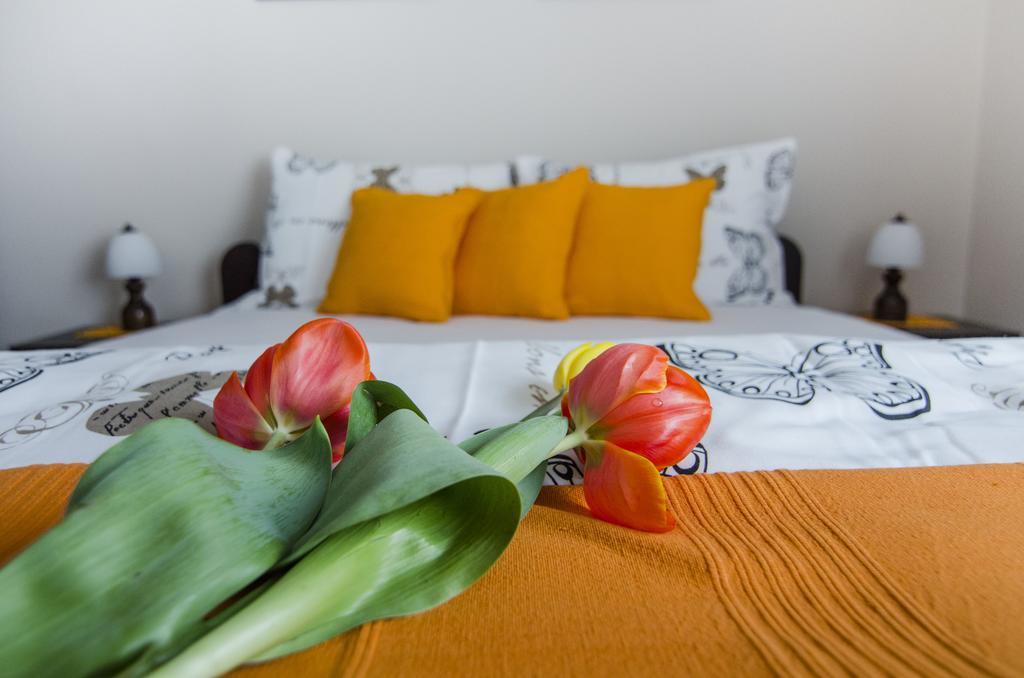 Villa Rose Belgrado Esterno foto